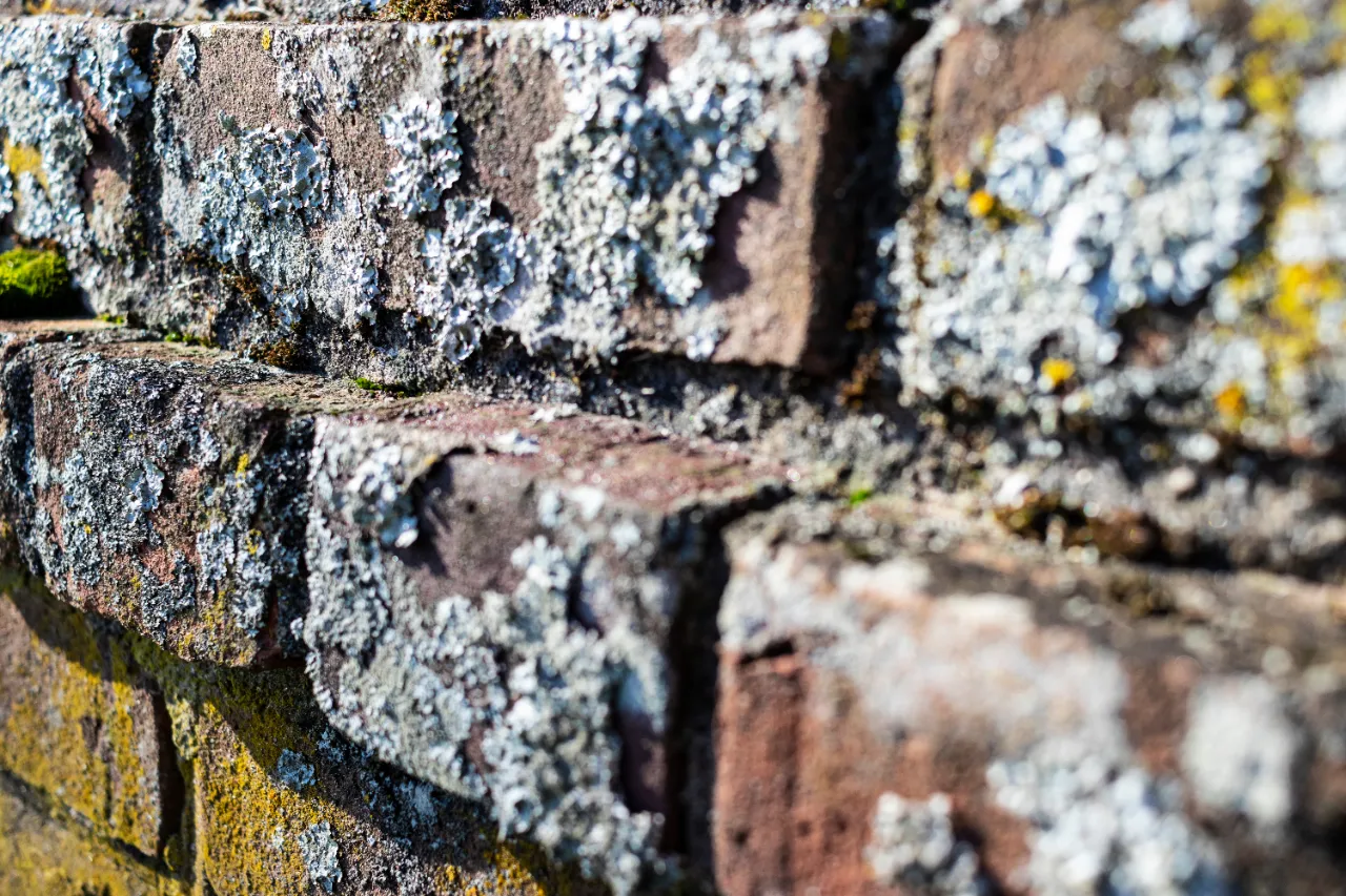 Brickwork & Masonry project by CGMU Construction Corp